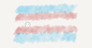A fuzzy trans pride flag, with a small face peeking out of it.