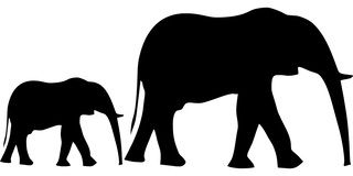Silhouettes of elephants.
